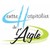 Centre Hospitalier de L'Aigle logo