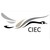Canadian International Energy Corp logo