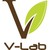 V-Lab logo