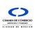 Cámara de Comercio de la Ciudad de México (Canaco CDMX) logo