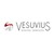 Vesuvius Digital Services logo
