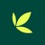 Bamboo logo