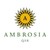 Ambrosia QSR Logo