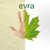 evra logo