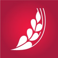 ROSE BLANCHE Group logo
