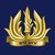Israeli Navy logo