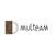 Multeam logo