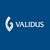 Validus Group logo