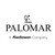 Palomar S.p.A. logo