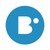 Big Outsource logo