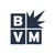 Best Version Media logo