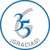 Glasser, S.A. de C.V. logo