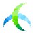AFCDUD logo