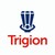 Trigion Security Services Ltd logo