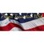 Project Transition USA logo