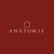 Anatomie Fashion logo