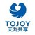 天九共享控股集团有限公司 logo