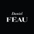 Daniel Féau Conseil Immobilier logo
