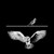 Owl + Lark logo