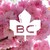 Logo di Destination British Columbia