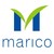 Marico Bangladesh Ltd. logo