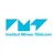 Institut Mines-Télécom (IMT) logo