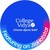 College Vidya logo