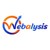 Webalysis logo