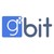 GBIT (Global Bridge InfoTech Inc) logo