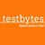 Software Testing and QA Company | Testbytes logo