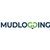 Logo di THE MUDLOGGING COMPANY MÉXICO, S.A. DE C.V.