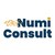 NumiConsult logo