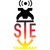 STE B.V. logo