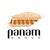 Panam Group logo