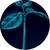 AiSprouts VC logo