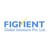 Figment Global Solutions Private Limited logo