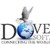 Logo di Dove Soft Ltd.