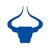 Logo di BFC Forex & Financial Services Pvt Ltd.