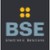 BSE Electronic logo