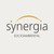 Synergia Consultoria Socioambiental logo