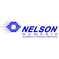 NELSON NUMERIC logo