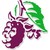 Blackberry Clinic logo