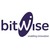 Bitwise Group logo