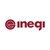 INEGI driving science & innovation logo