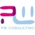 PW Consulting logo