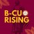 Bethune-Cookman University logo