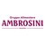 Ambrosini Holding logo