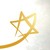 Hospital Israelita Albert Sabin logo