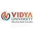 Vidya University – Meerut logo