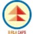 Birla Capital and Financial Services Limited logo